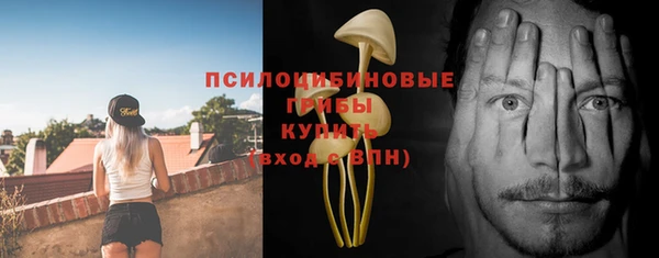гидропоника Балабаново