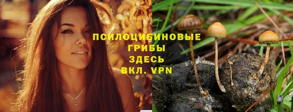 кокс Баксан