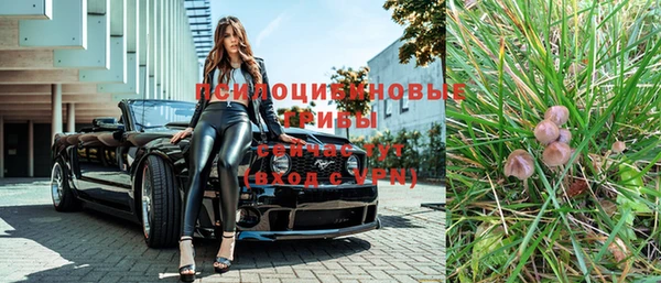 кокс Баксан