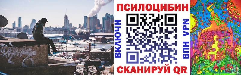 Галлюциногенные грибы прущие грибы Горячий Ключ